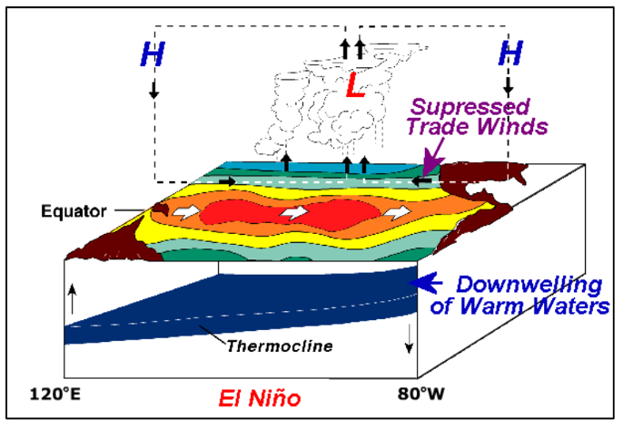 Figure 7-9. ENSO El Nino conditions.