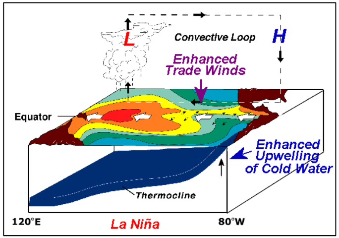 Figure 7-8. ENSO La Nina conditions.