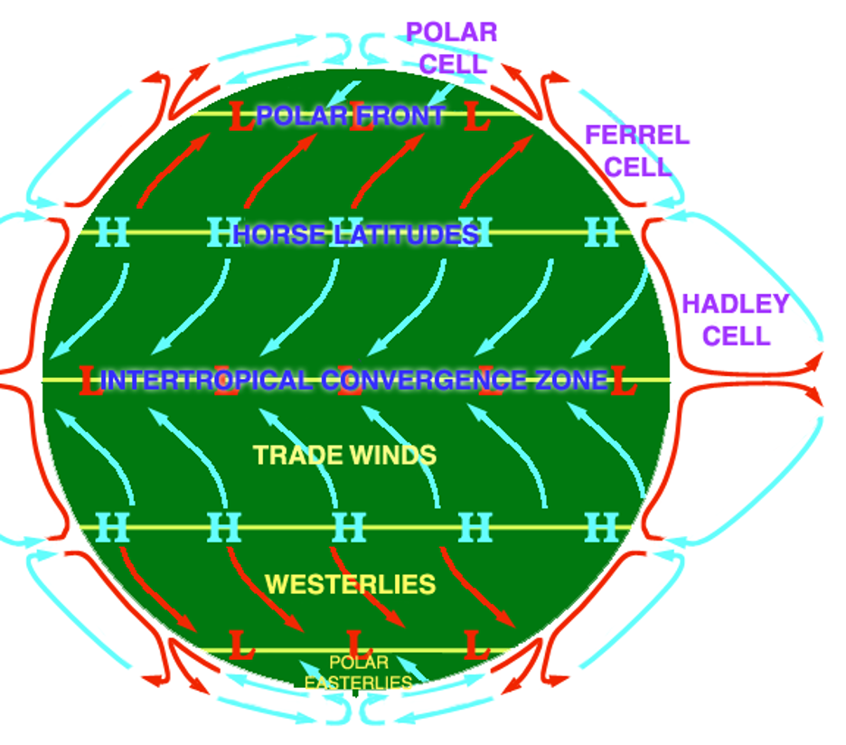 Figure 7-1. Theoretical model of general circulation.