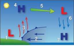 Figure 7-3. Model sea-breeze circulation.