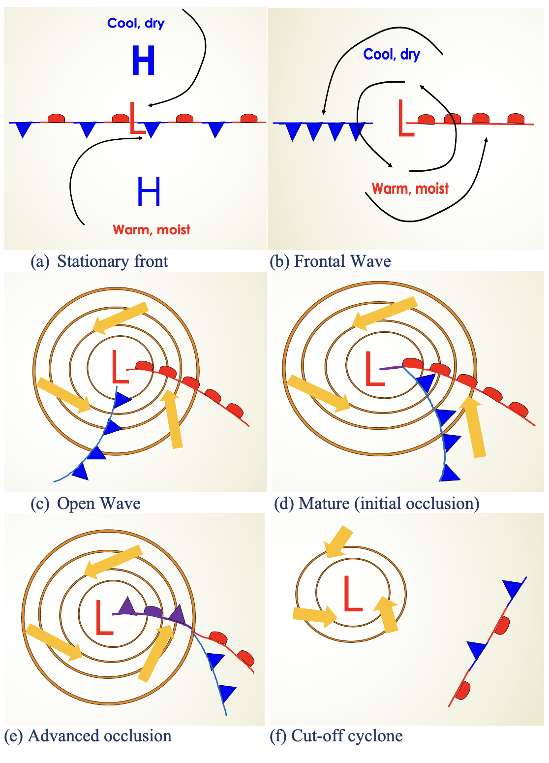 Figure 8-8. Stages of mid-latitude cyclone development.