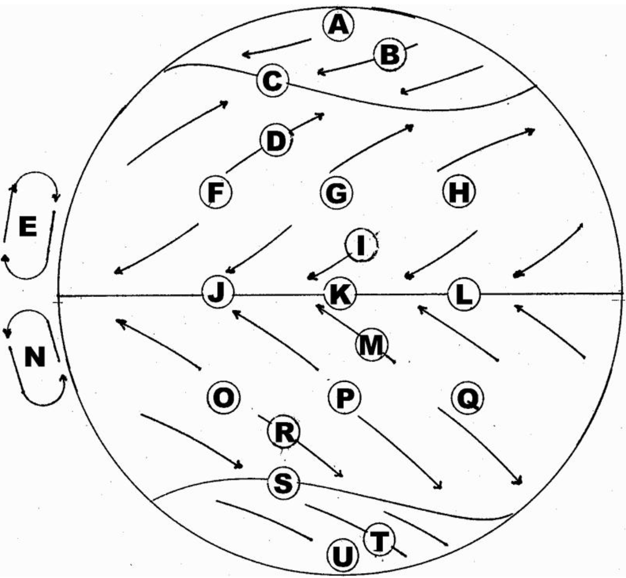 Figure 7-2. General circulation model with labeled locations, A-U.