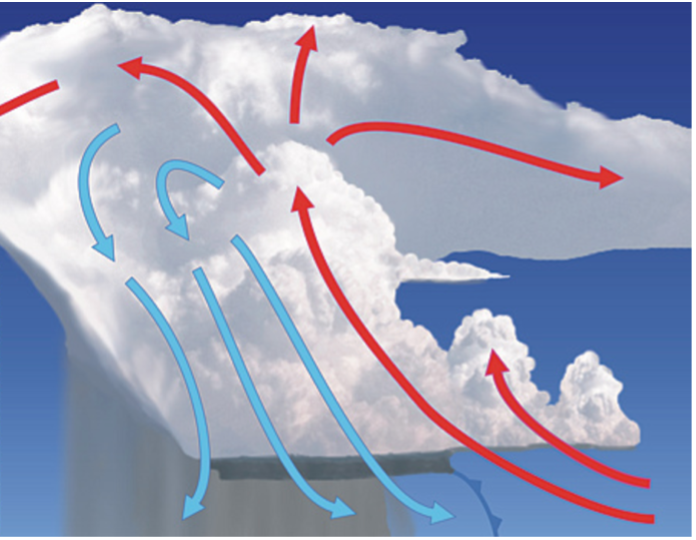 Vertical cross section of a multi-cell thunderstorm.