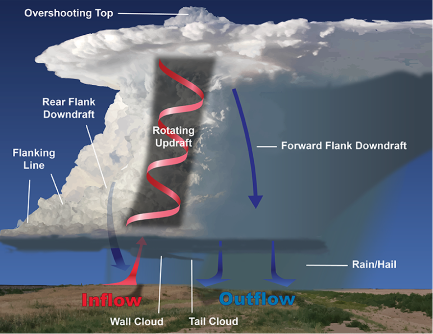 Cross section of a supercell thunderstorm with key features and air flows labeled.