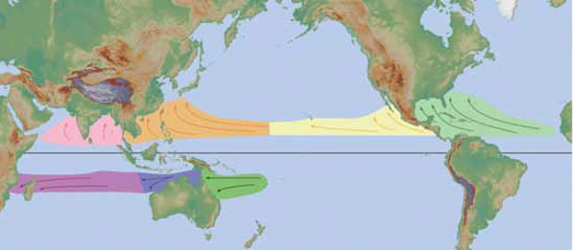 Typical locations of hurricane/tropical cycle formation globally.