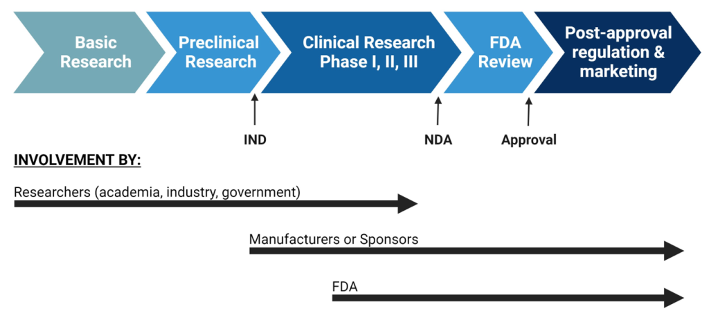 A graphic showing the timeline of drug development. The timeline includes basic research and discovery by scientists, governments labs or related industries, preclinical research, clinical research (phases I, II and III), a review by the Food and Drug Administration (FDA), formal approval, and then post-approval regulation and marketing. The Investigative New Drug application (IND) is filed with the FDA following preclinical research; the New Drug Application (NDA) is filed with the FDA following clinical research.