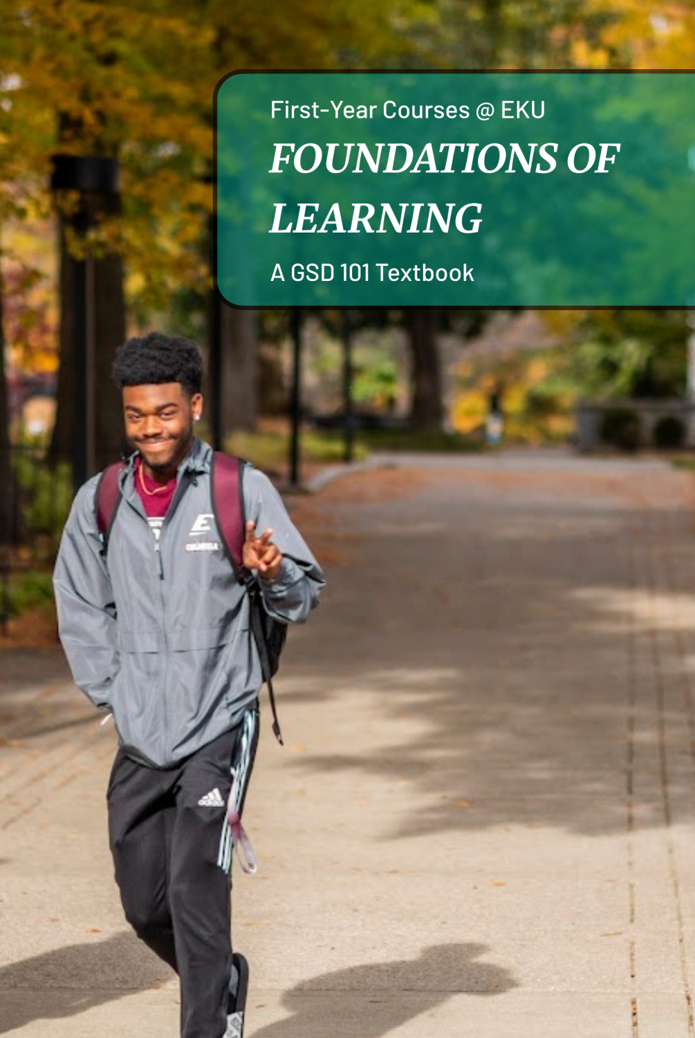 Cover image for Foundations of Learning