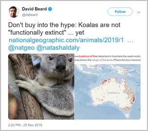 David Beard's tweet saying “Don’t buy into the hype: Koalas are not ‘Functionally extinct’...yet” and linking to a National Geographic article.